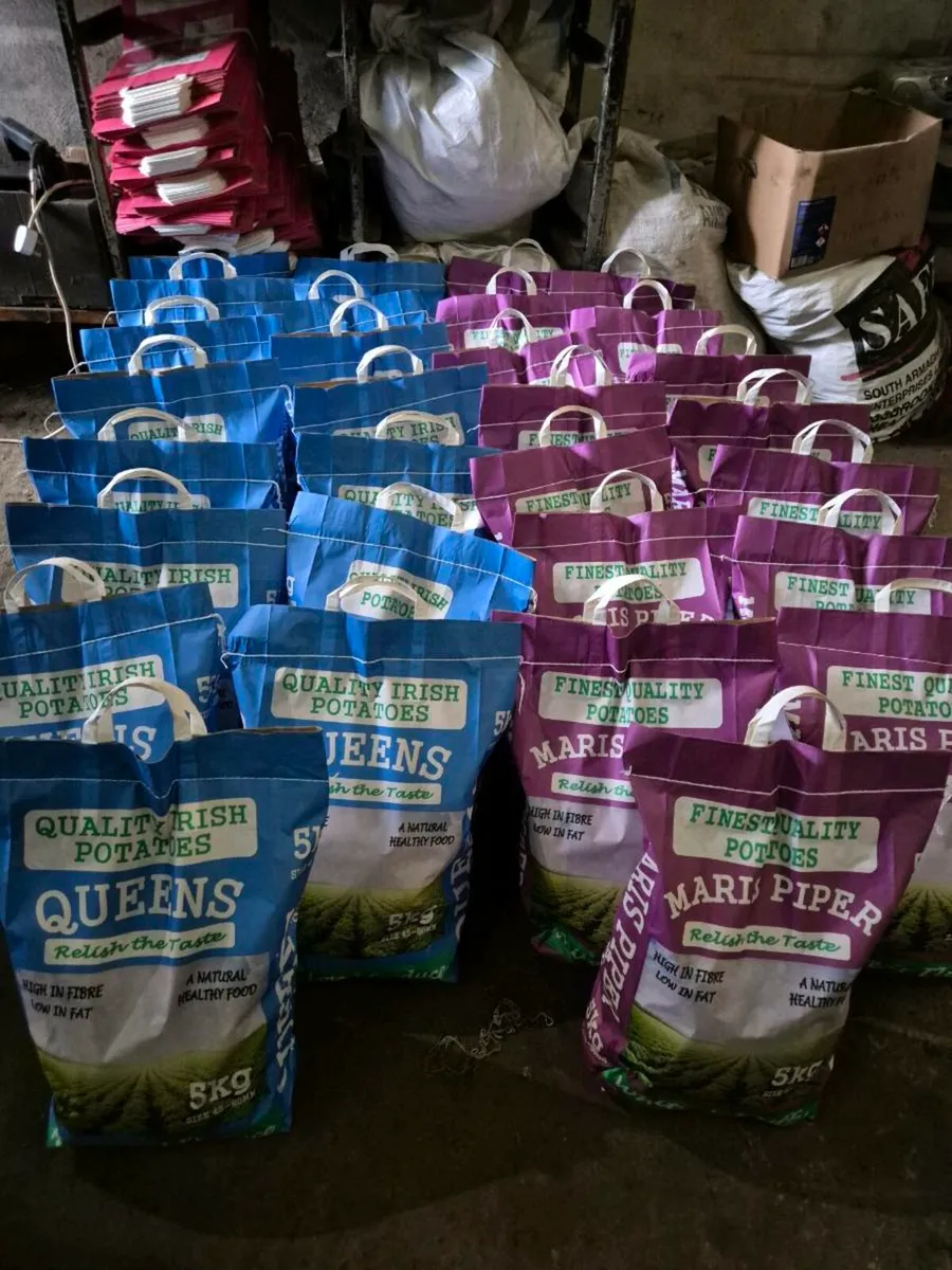 Potatoes For Sale - Image 3