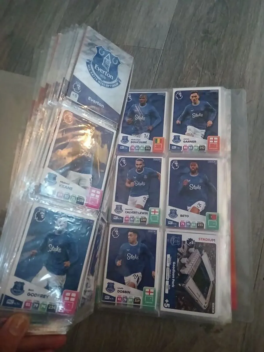 premier league 2025 full book - Image 2