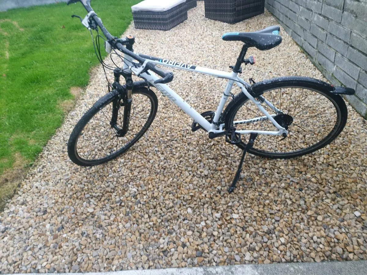 ADULTS BIKE - Image 1