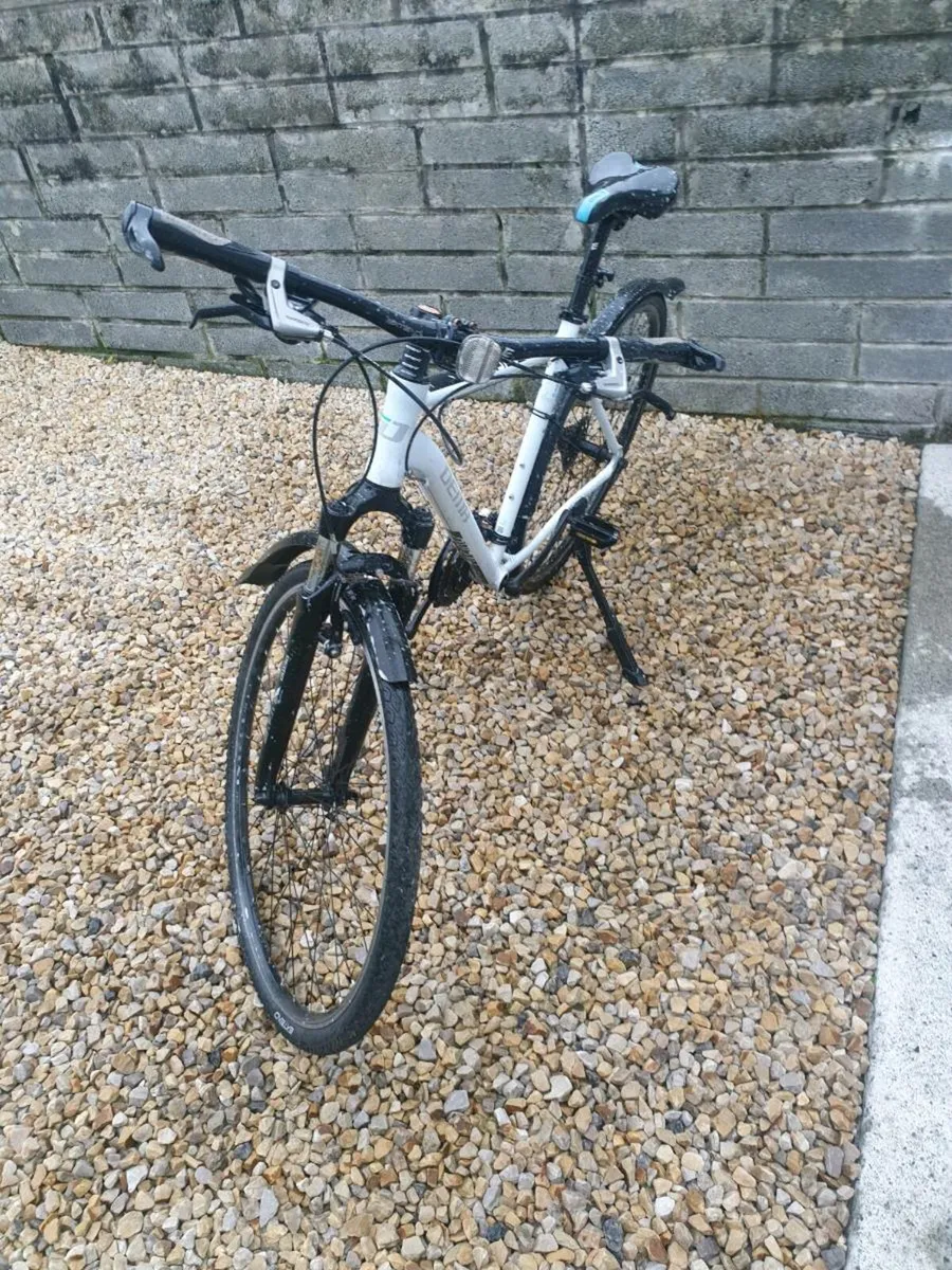 ADULTS BIKE - Image 4