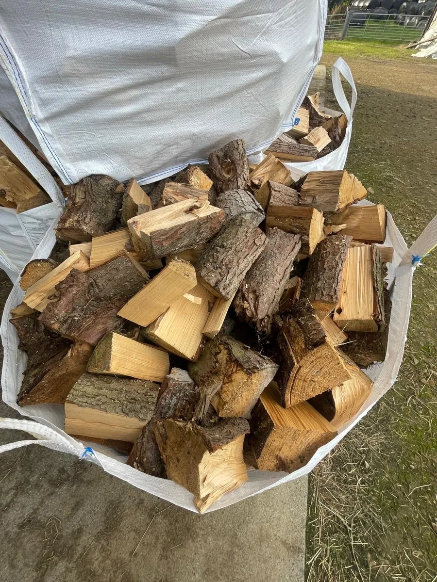 Seasoned Firewood - Image 1