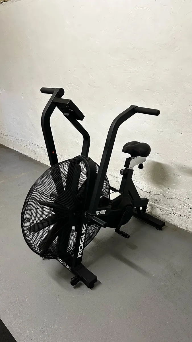 Rogue Echo Bike - immaculate condition - Image 1