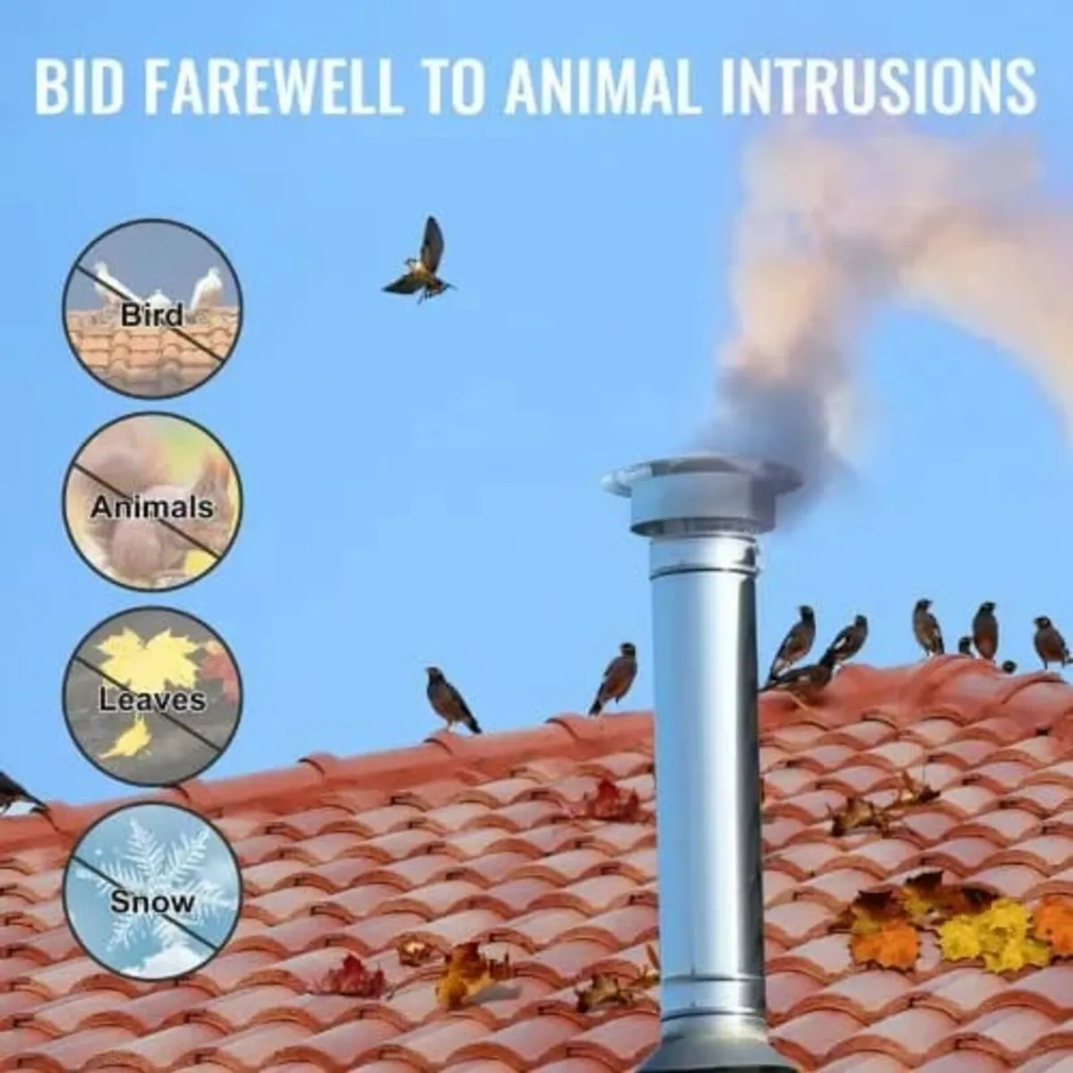 Chimney Cap, 152.4 mm, 304 Stainless Steel Round R - Image 3