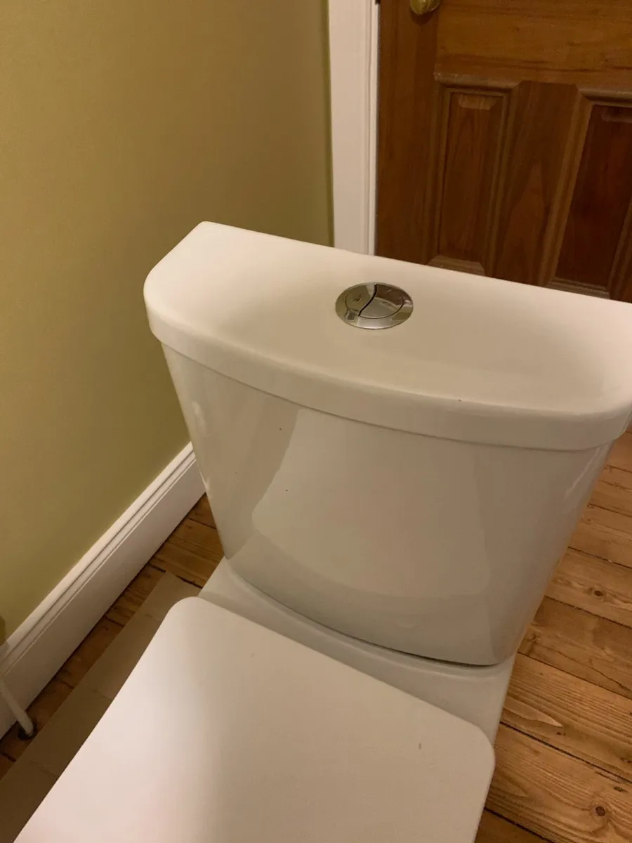Rimless Toilet - Image 1