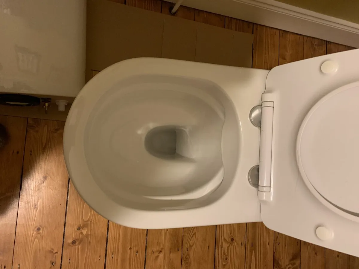 Rimless Toilet - Image 3
