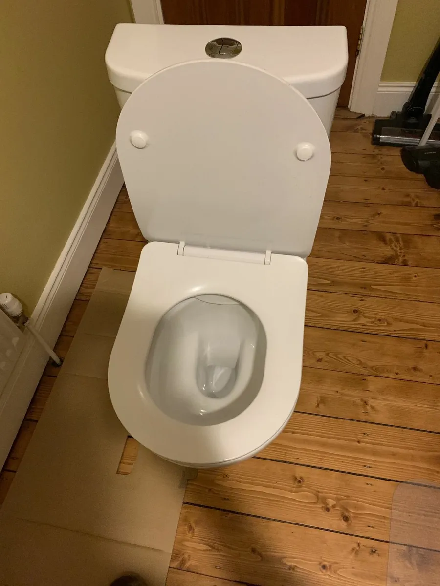 Rimless Toilet - Image 4