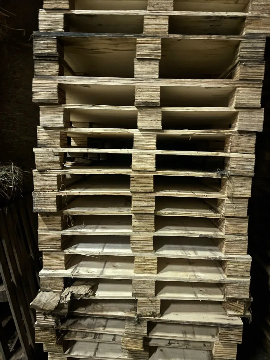 Pallets - Image 2