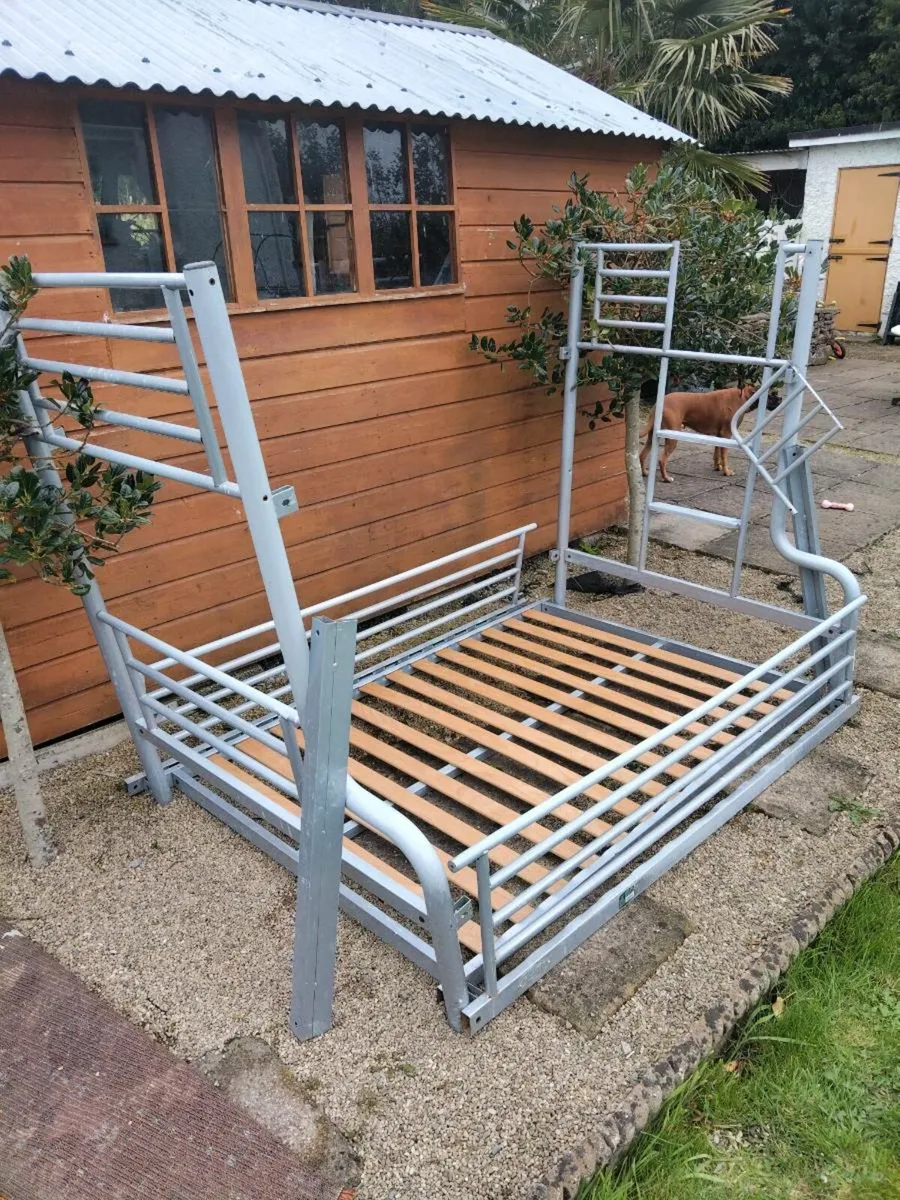 Triple Bunk bed - Image 3