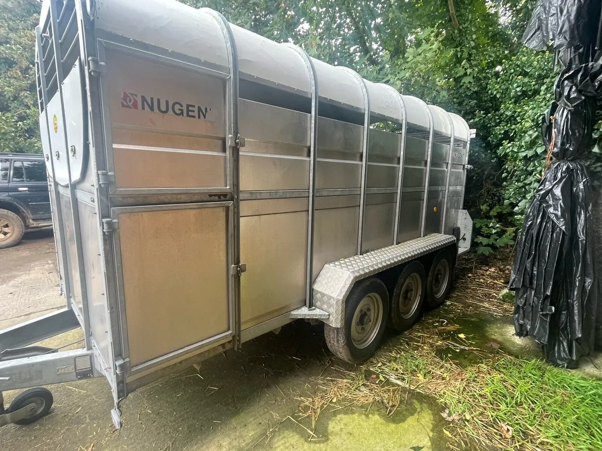 Nugent Cattle Trailer - Image 2