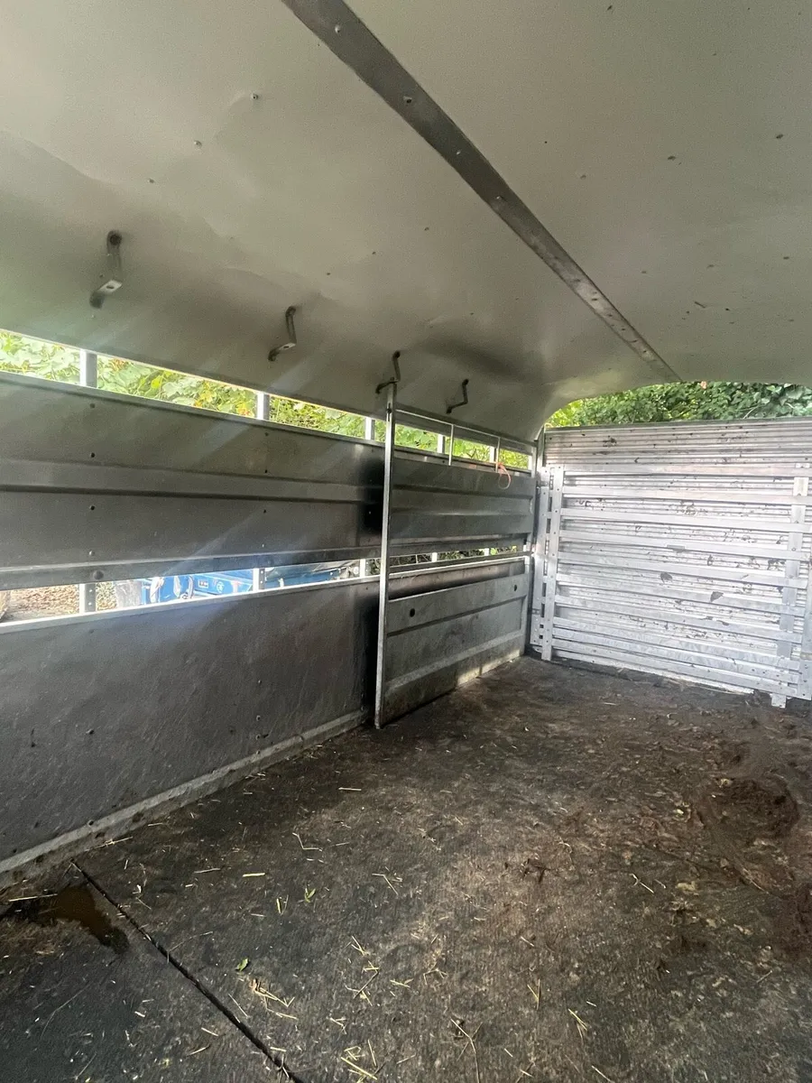 Nugent Cattle Trailer - Image 3