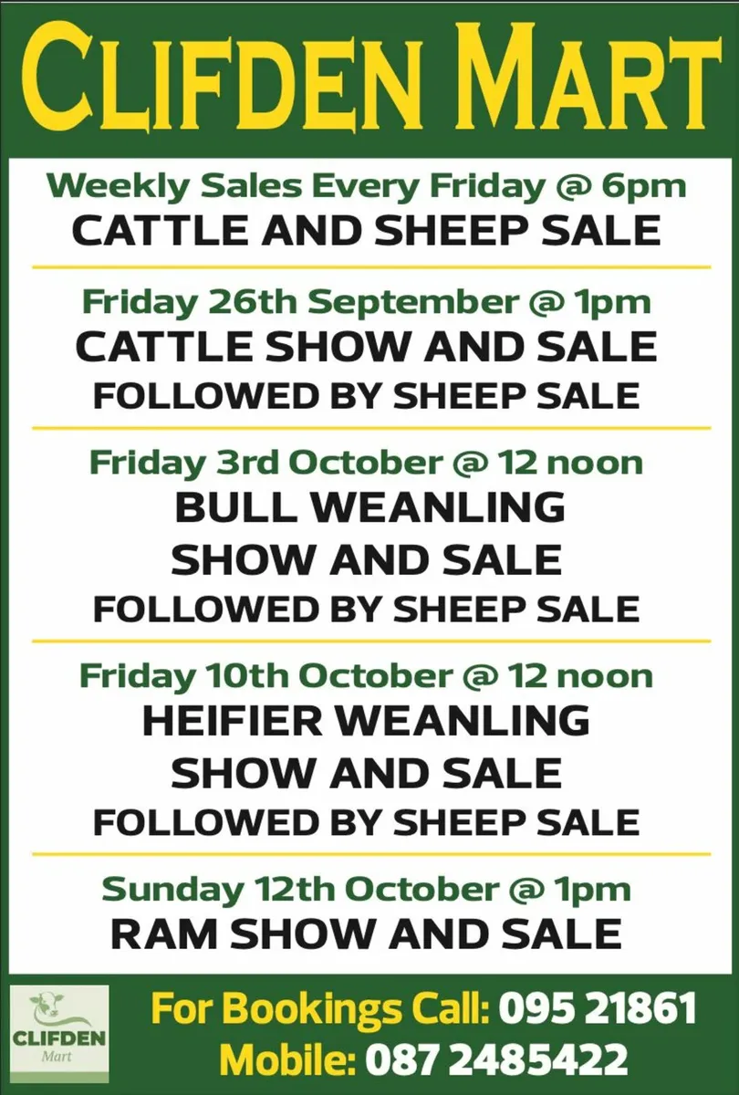 Bull Weanling Show & Sale  Fri 3rd Oct Clifden - Image 1