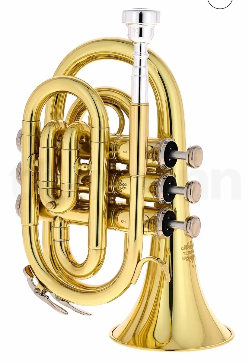Pocket Trumpet