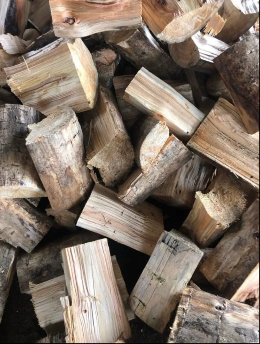 Firewood - Image 1