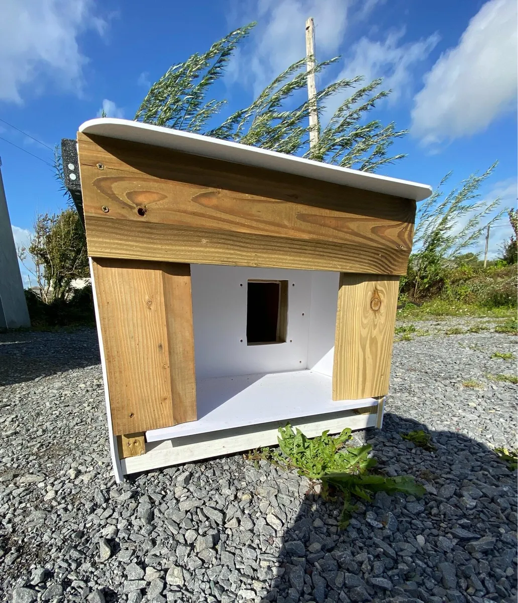 Cat house outdoors - Image 2