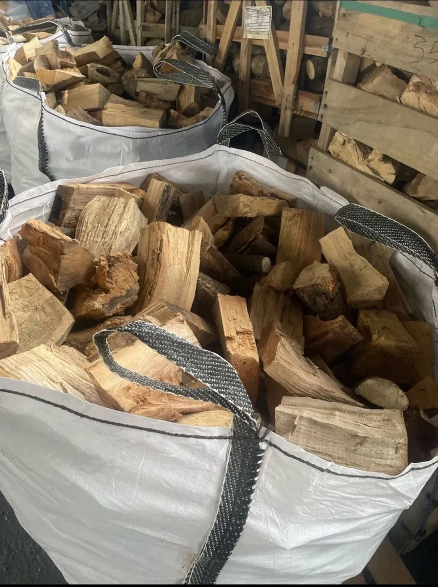 Firewood - Image 3