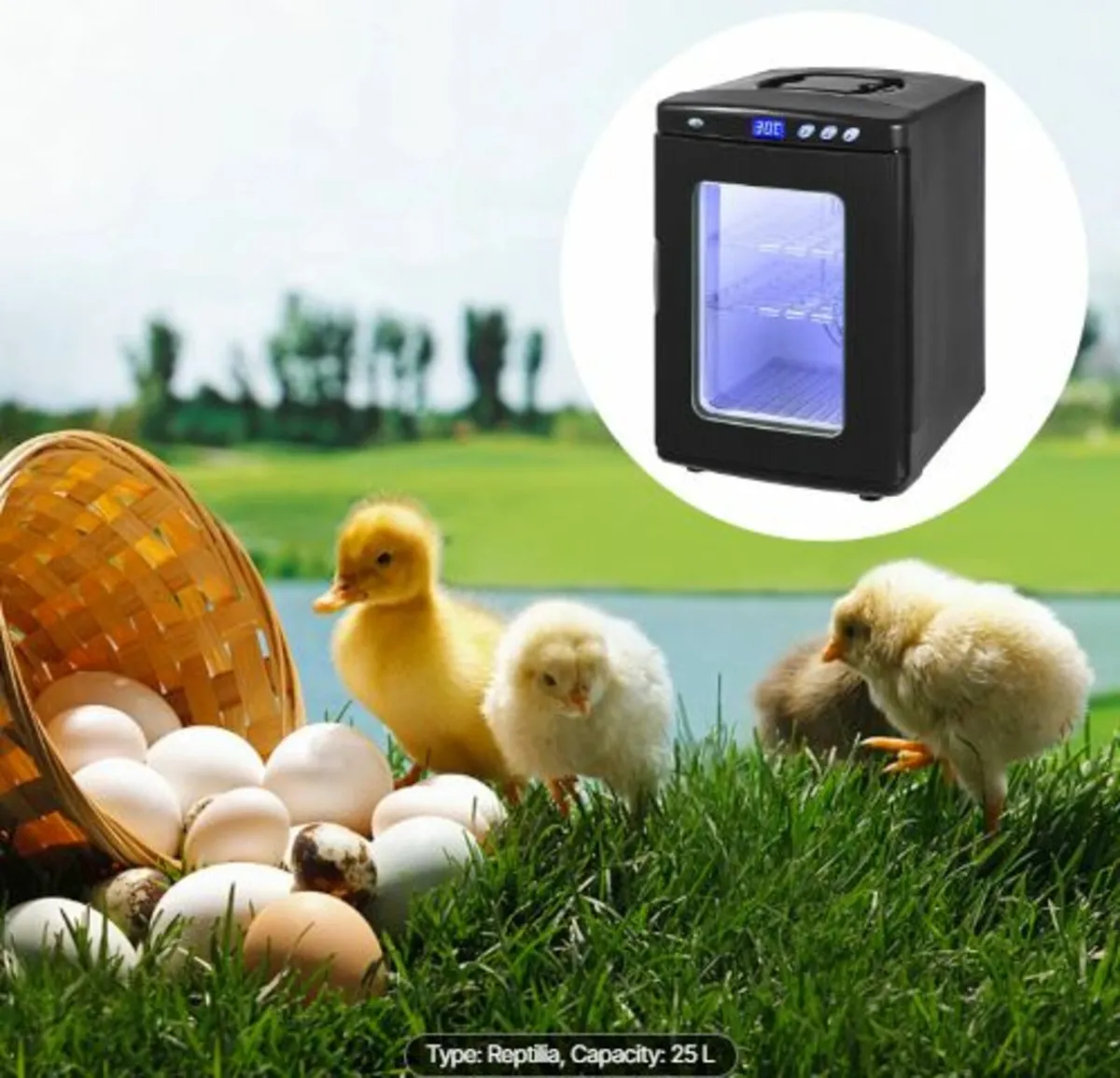 Black Reptile Incubator 25L Scientific Lab - Image 4