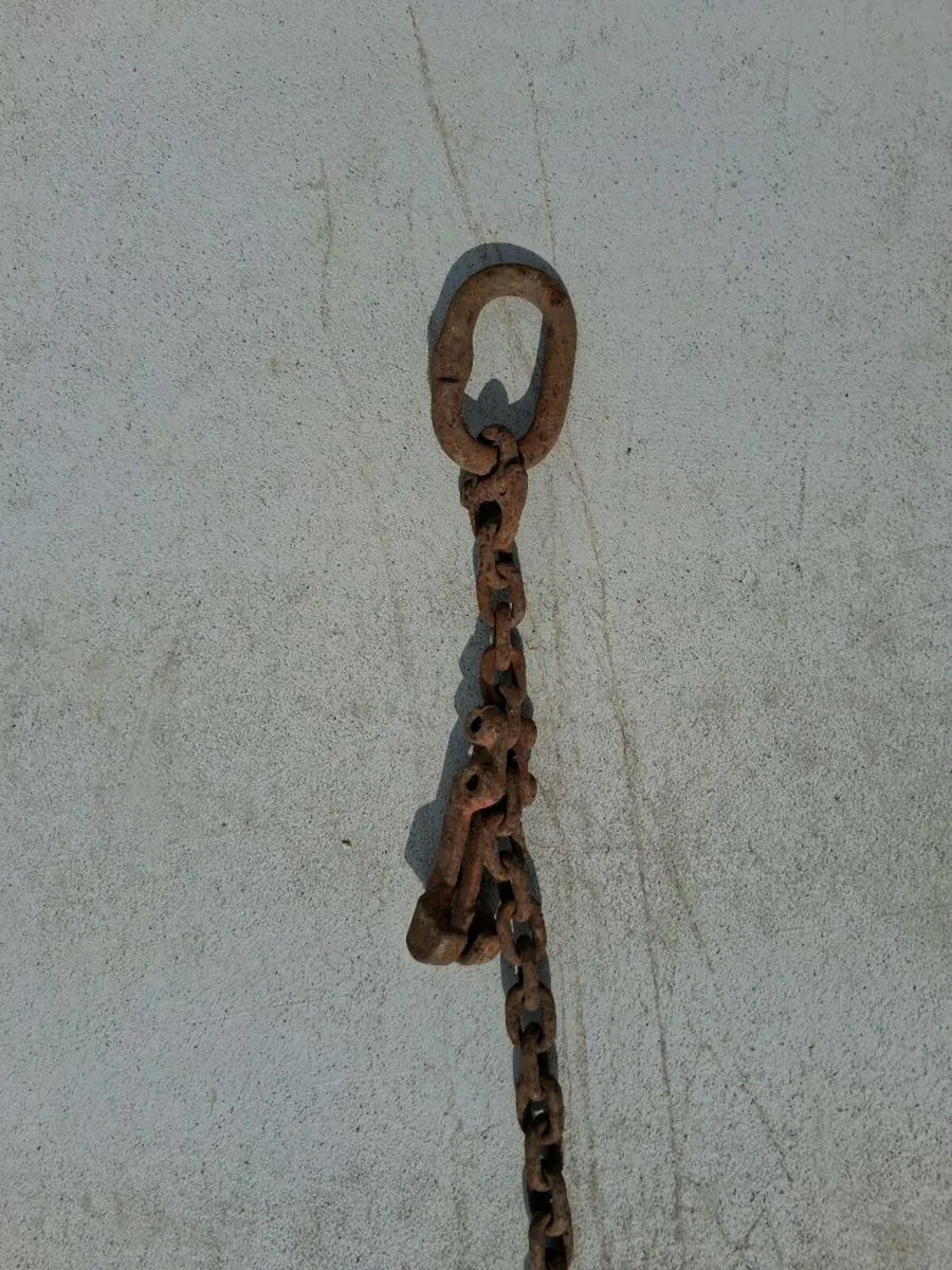 Lifting chain - Image 1