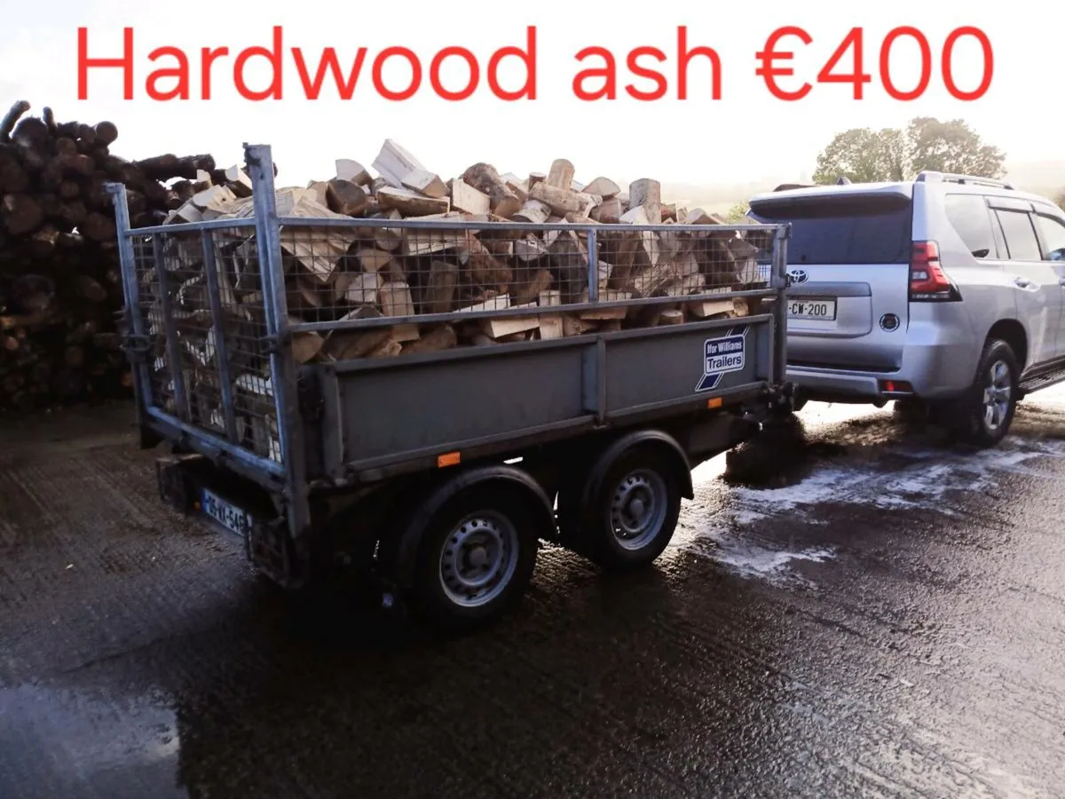 Top quality firewood - Image 2