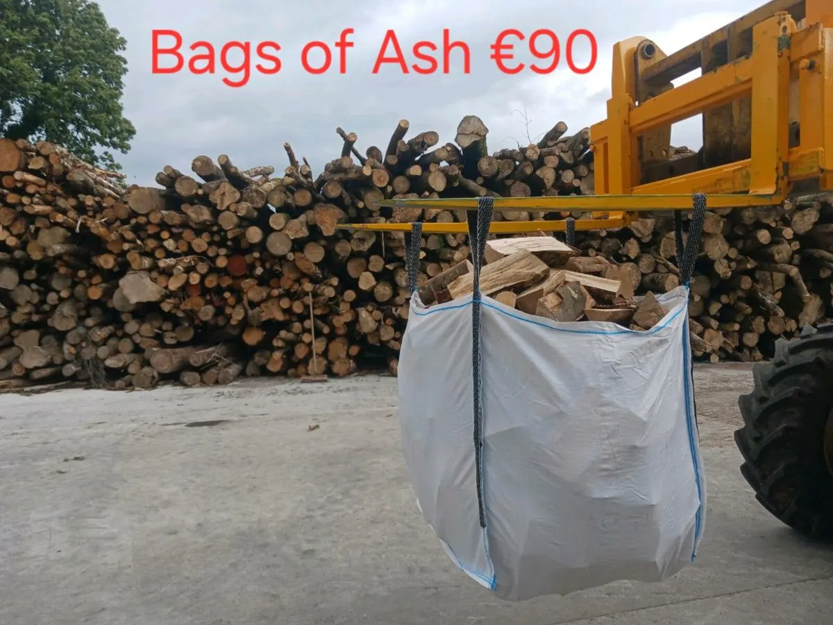 Top quality firewood - Image 1