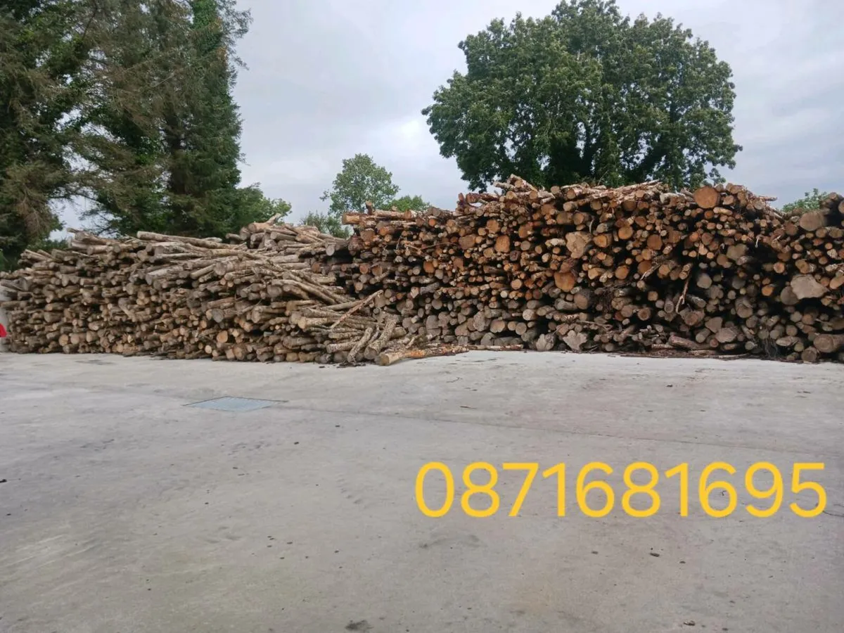 Top quality firewood - Image 4