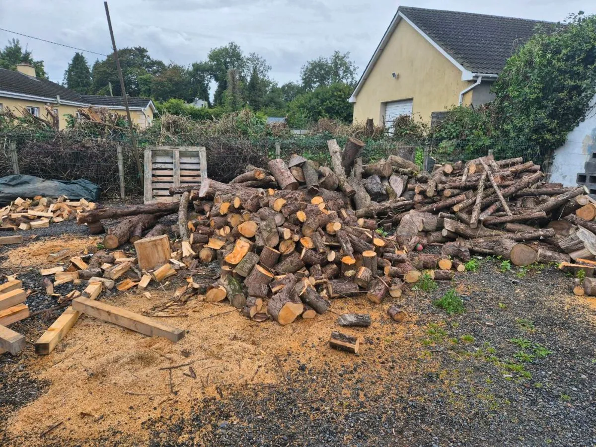 Logs for sale - Image 1