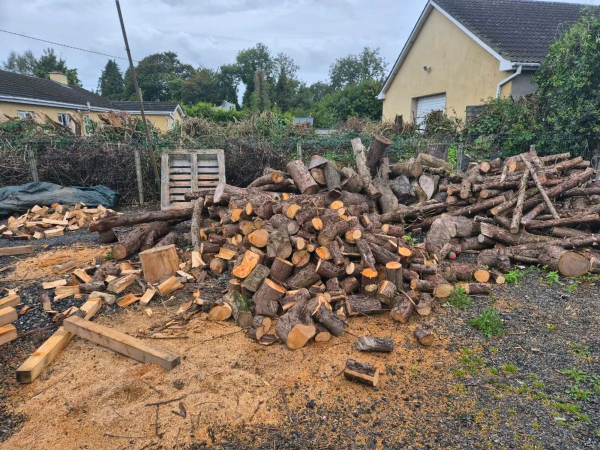 Logs for sale - Image 2