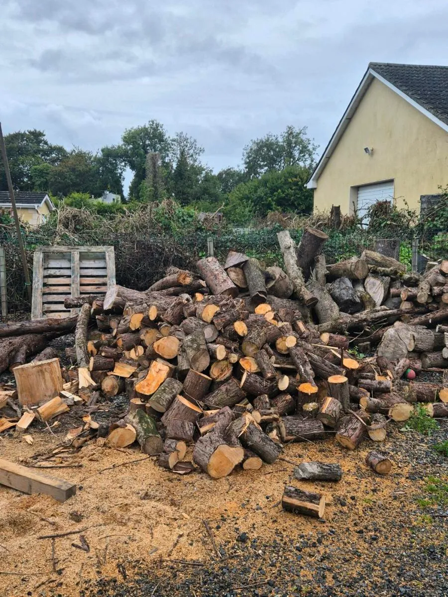 Logs for sale - Image 3