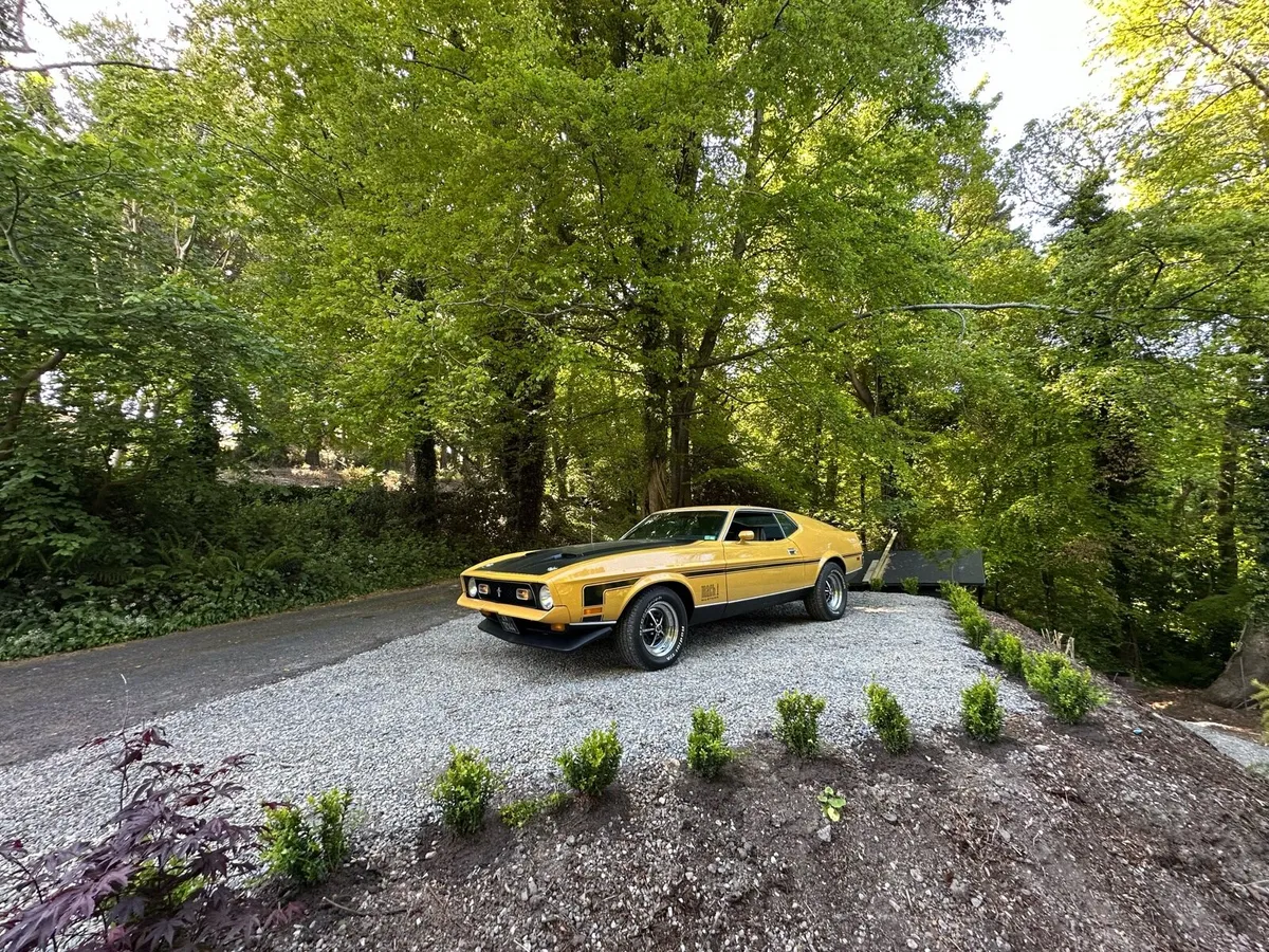 1972 Mustang Mach1 - Image 2