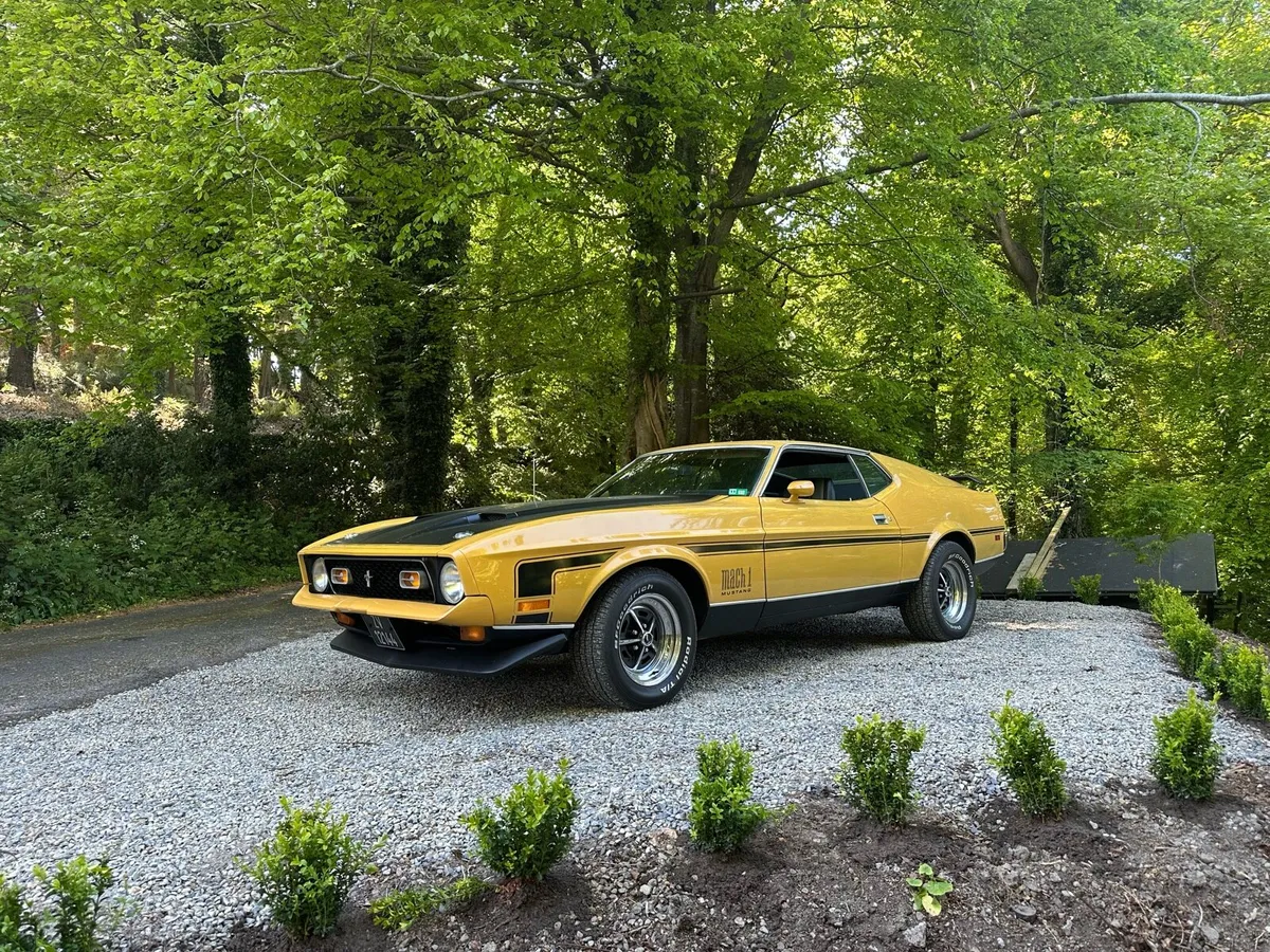 1972 Mustang Mach1 - Image 3