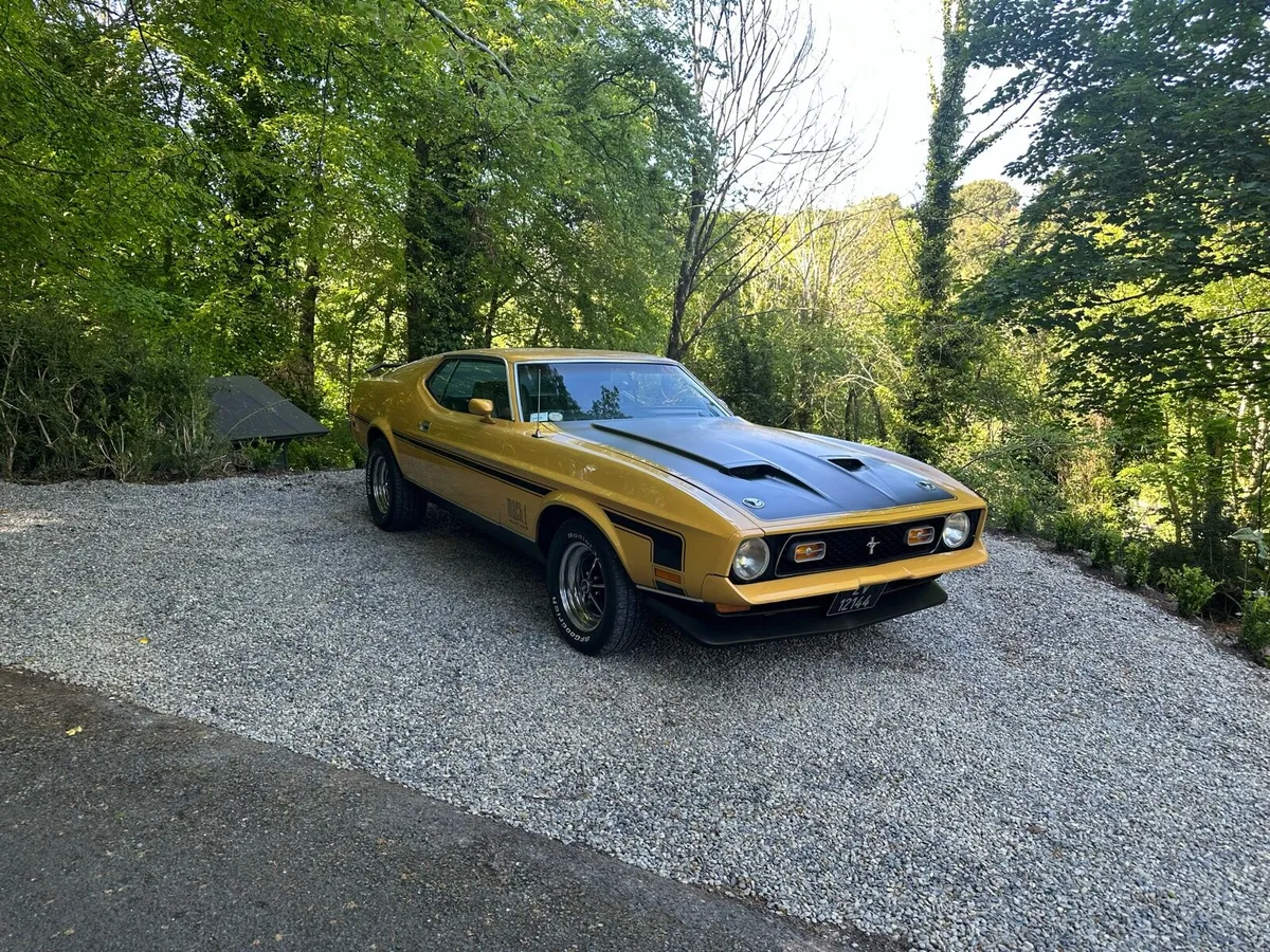 1972 Mustang Mach1 - Image 4