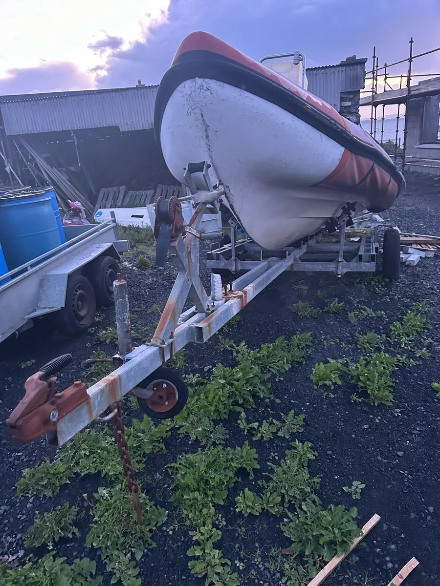 Project rib - Image 1