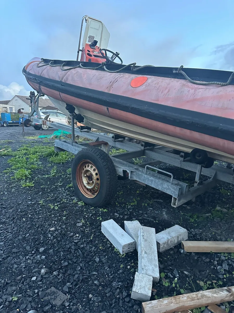 Project rib - Image 2