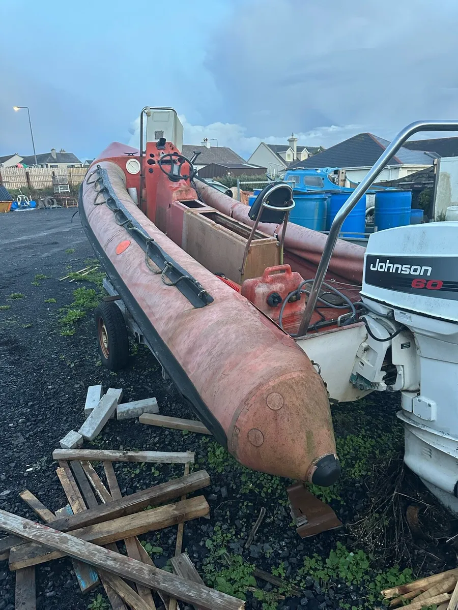 Project rib - Image 4