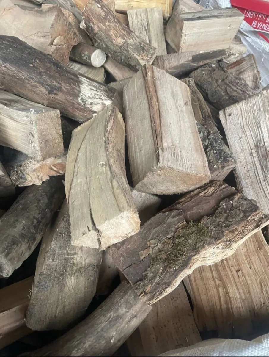 Firewood - Image 1