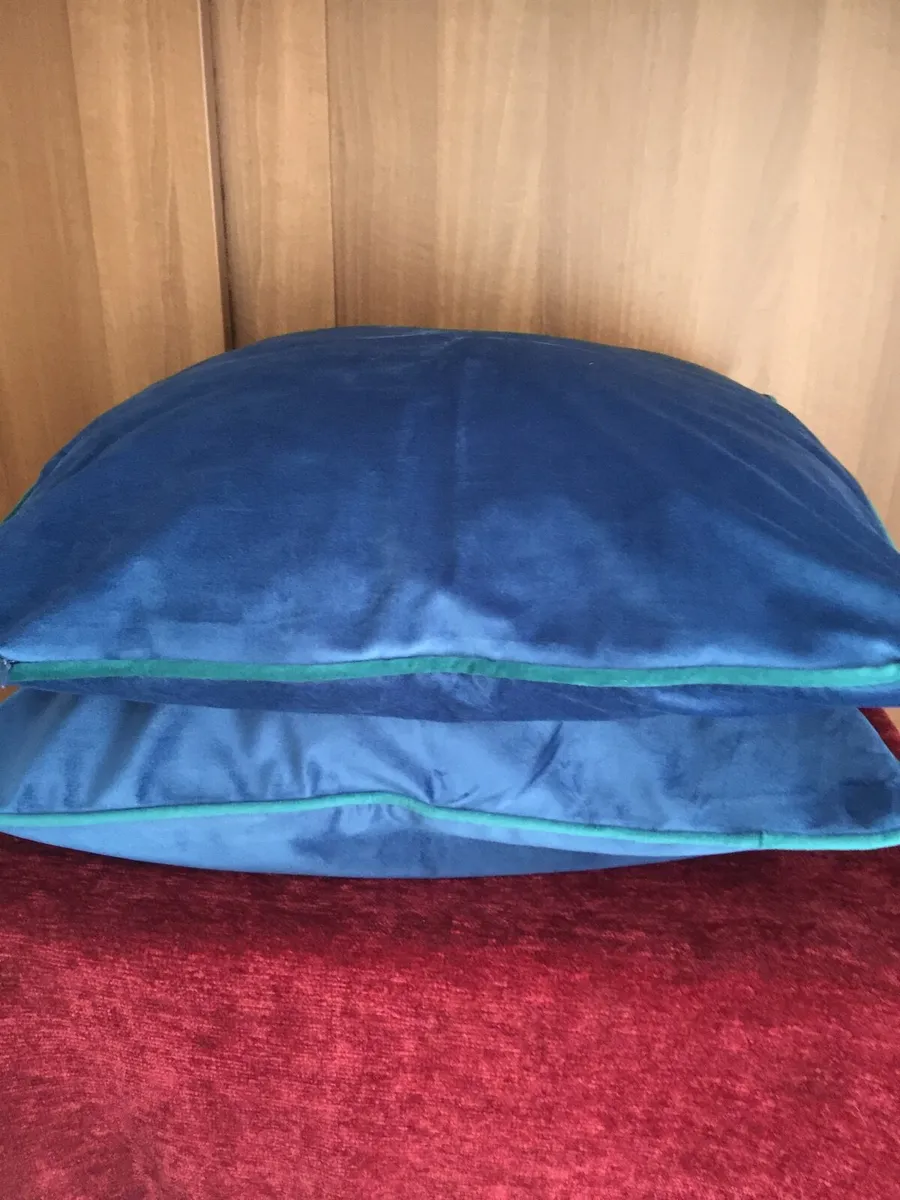 Cushions - Image 1
