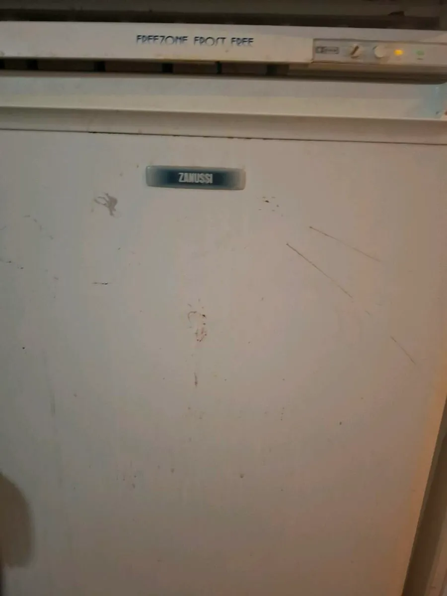 Freezer - Image 1