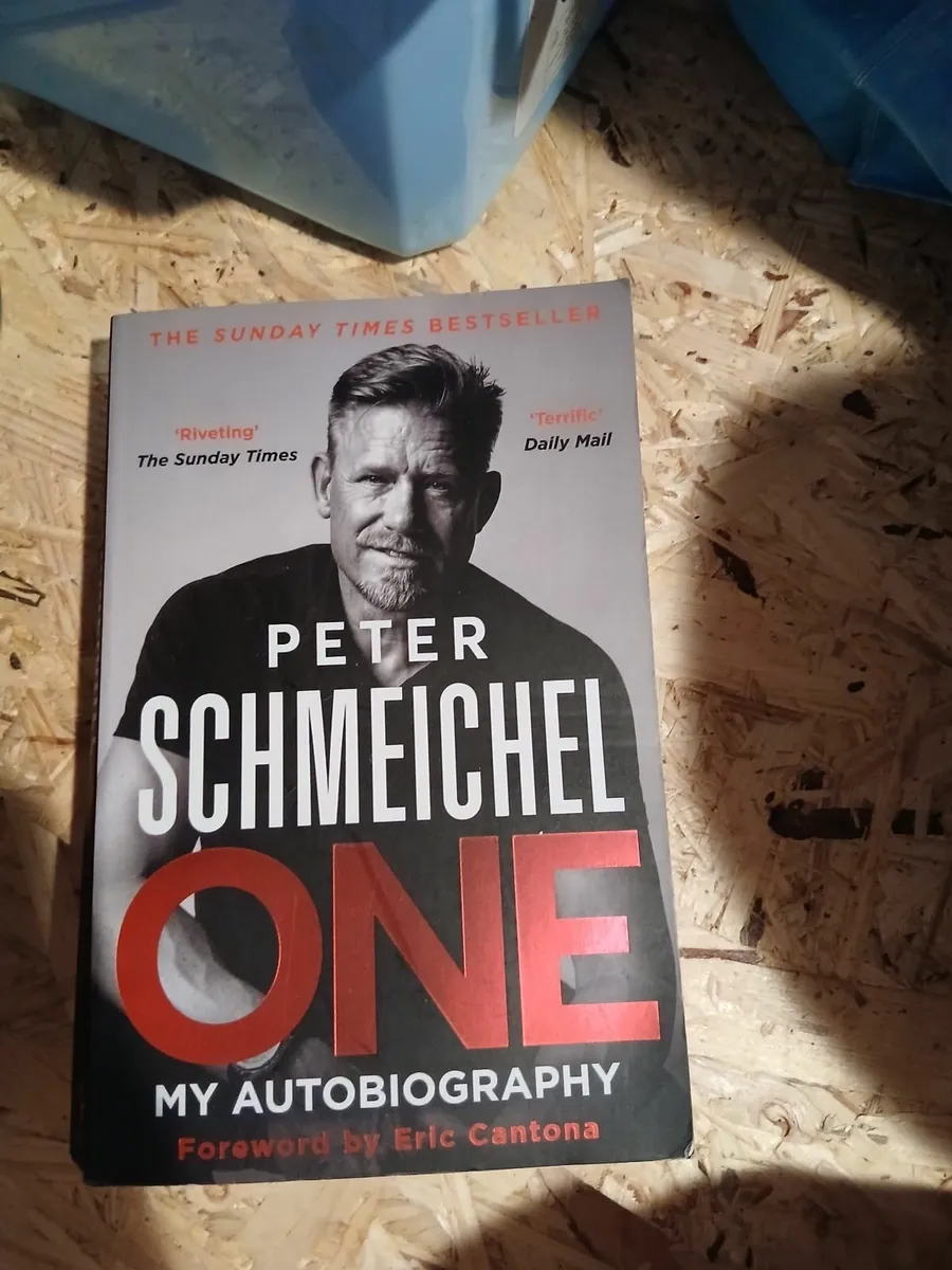 Peter Schmeichel one - Image 2