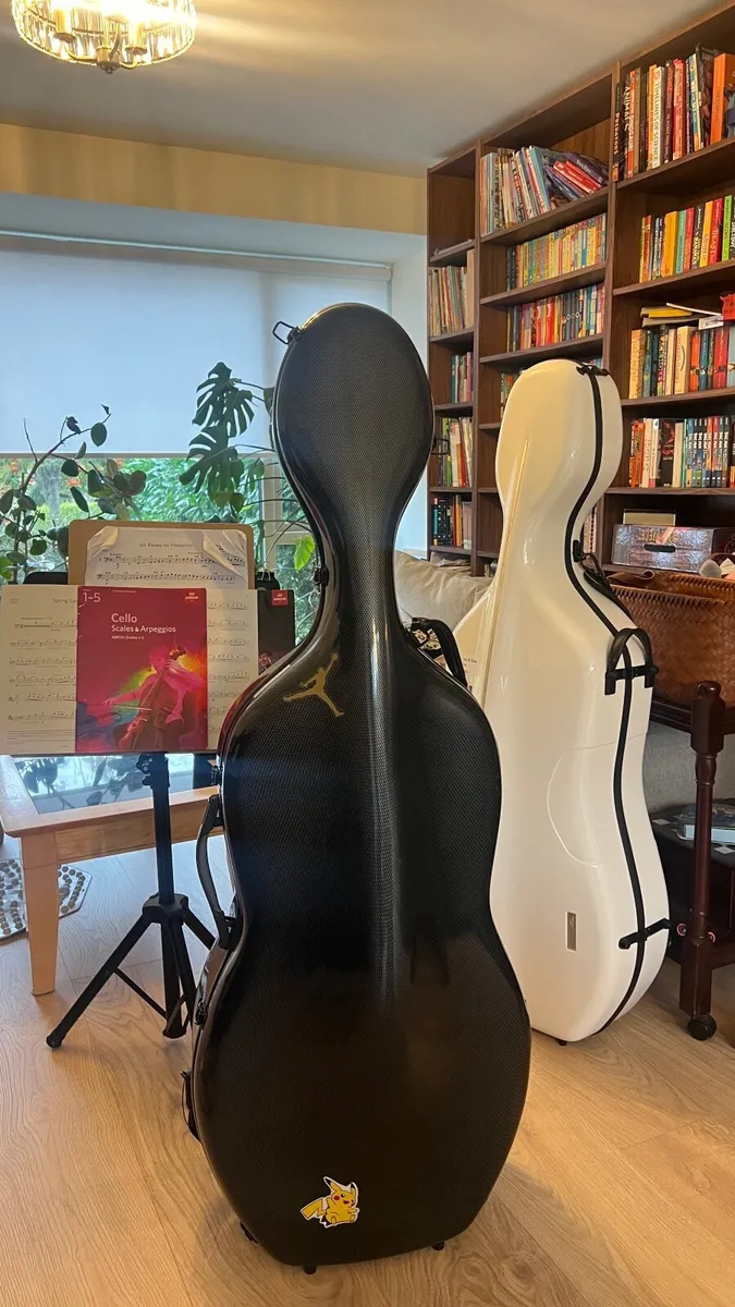 Cello case - Image 1