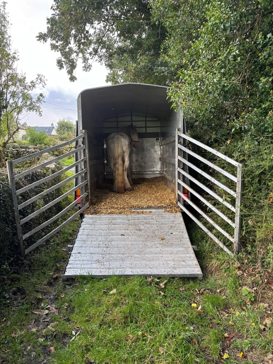 Cattle/Horse Trailer - Image 3