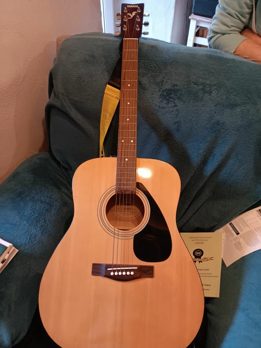 Guitar