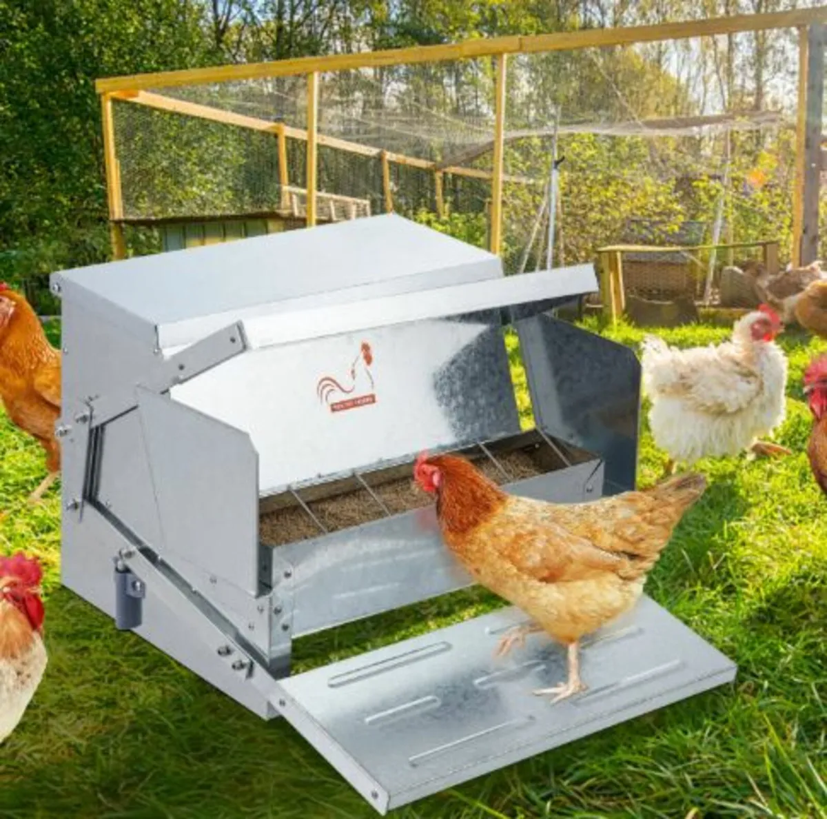 Automatic Chicken Feeder, 11.3kg Capacity Feeds 10 - Image 2