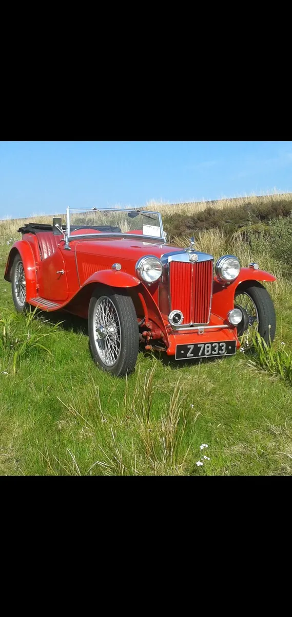 MG TA - Image 2