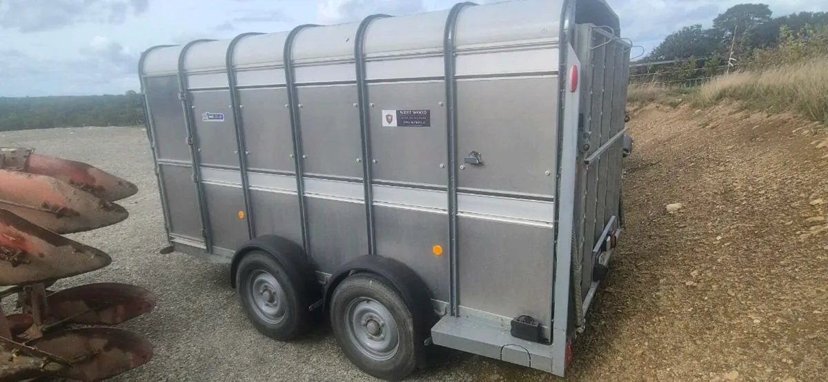 12ft cattle trailer - Image 4