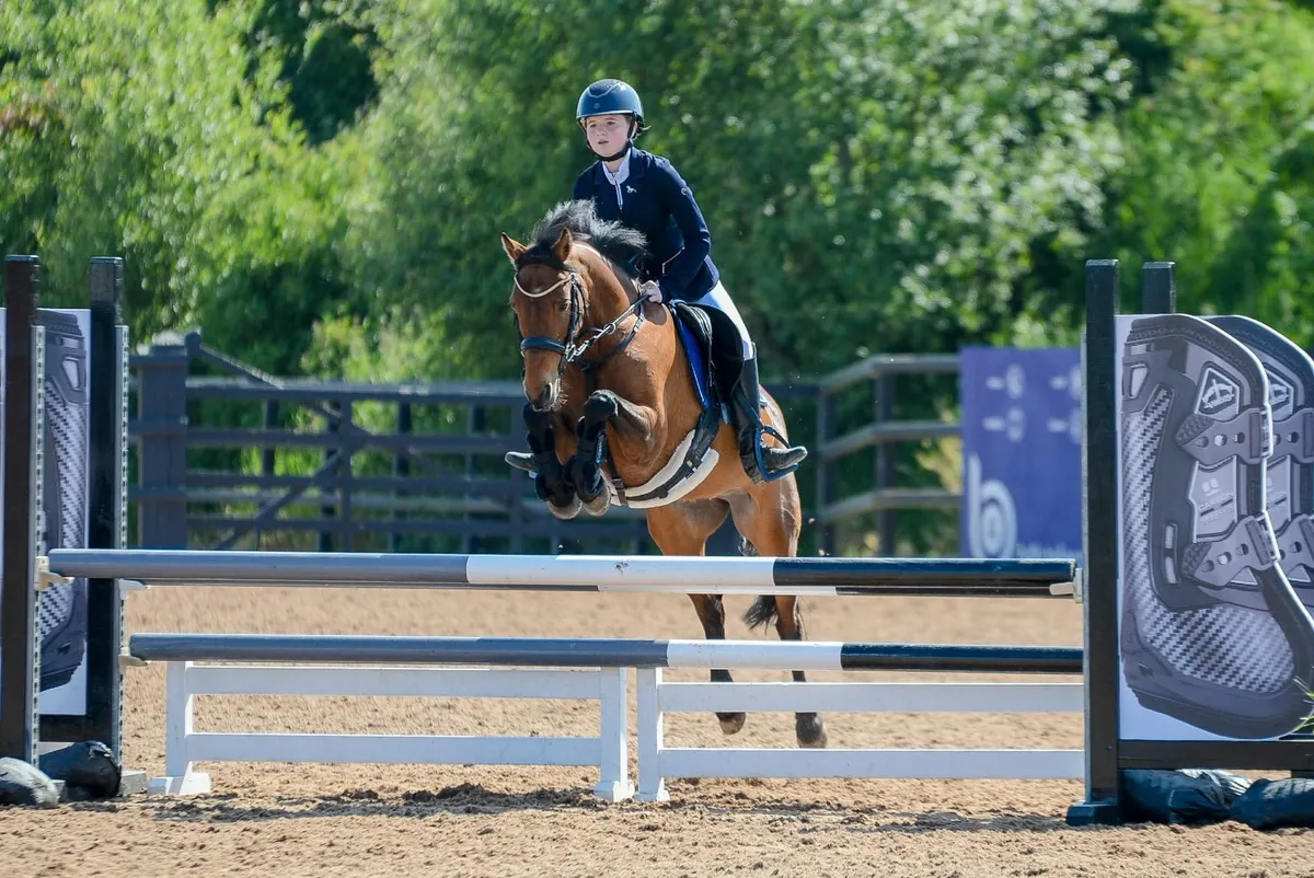 13.2 pony - Image 2