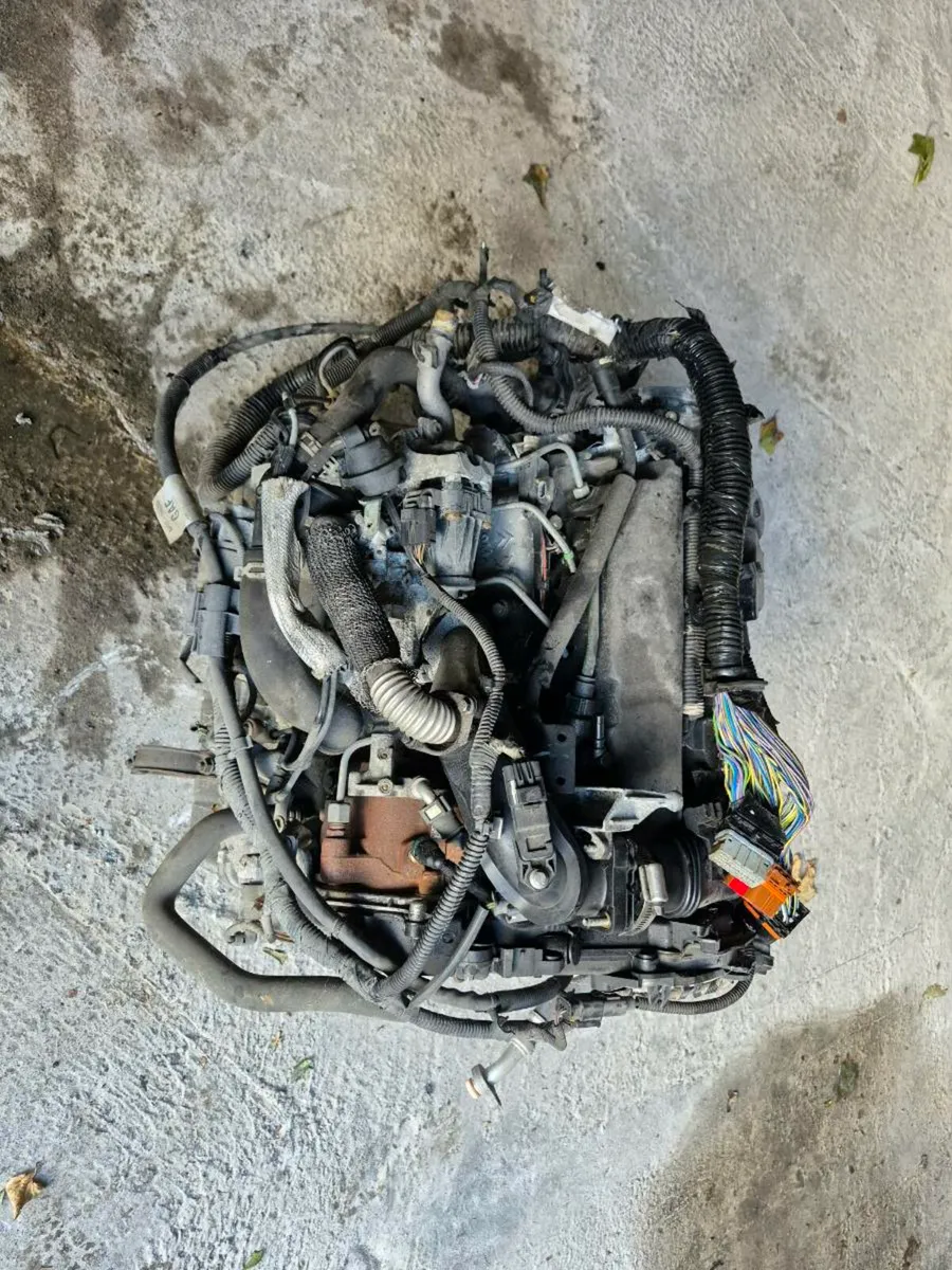 Engine Ford Focus 1.6 tdci - Image 1