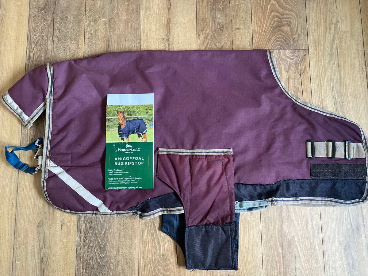 Foal/small pony Amigo Turnout Rug - Image 2