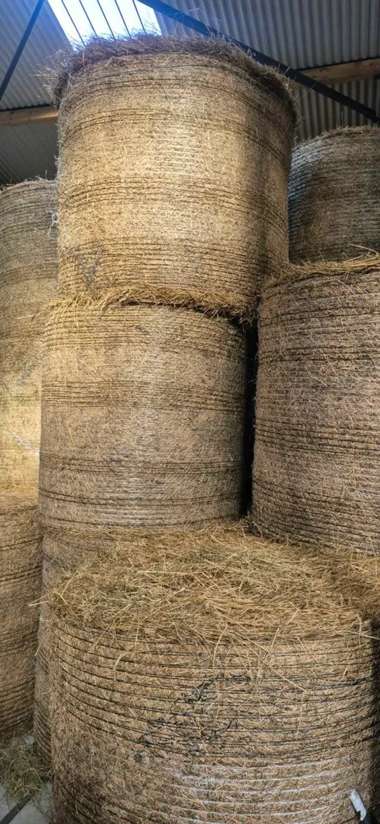 Hay - Round bales €40 and square bales €5 - Image 1