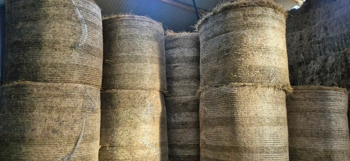 Hay - Round bales €40 and square bales €5 - Image 2