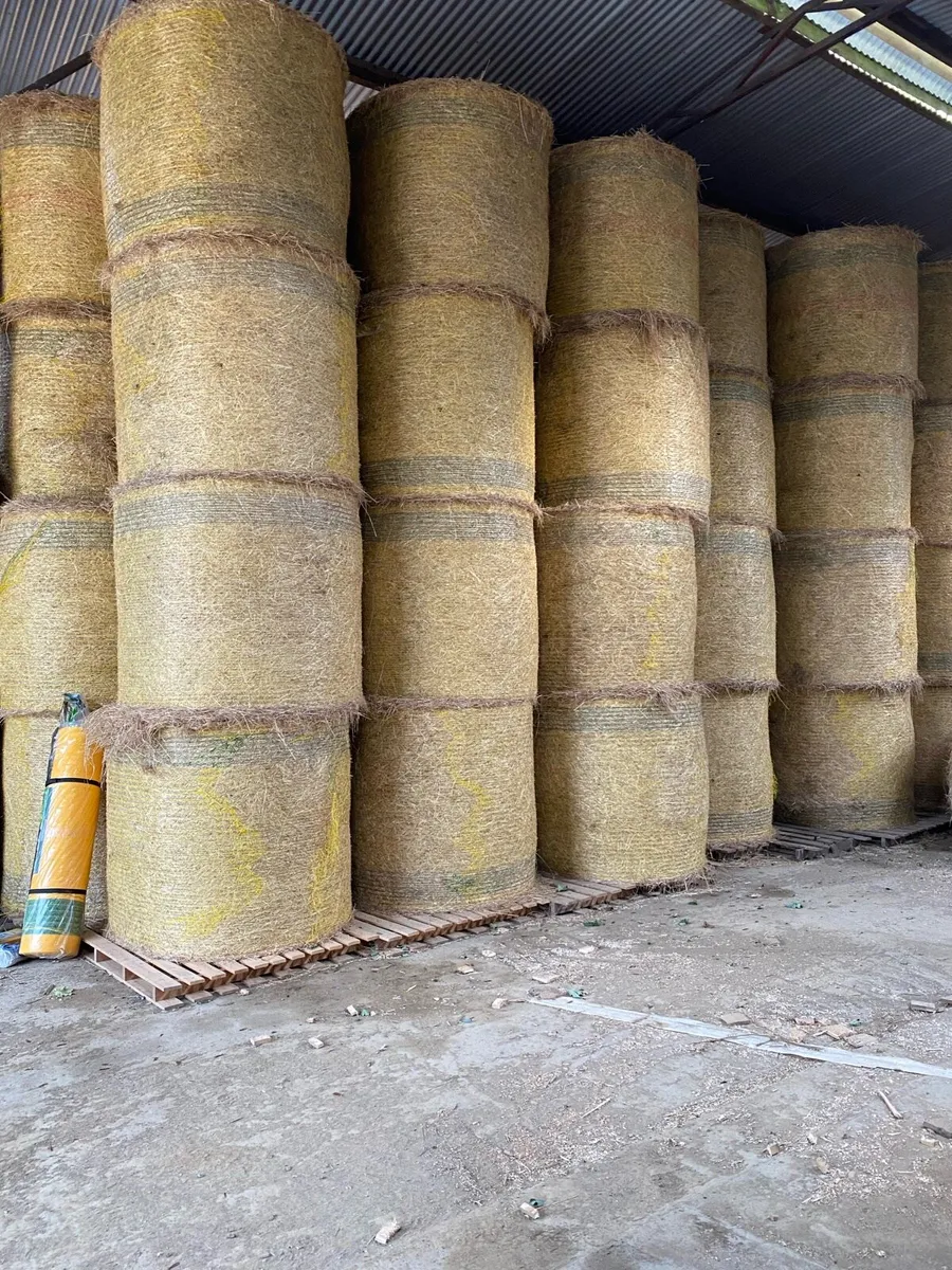Hay