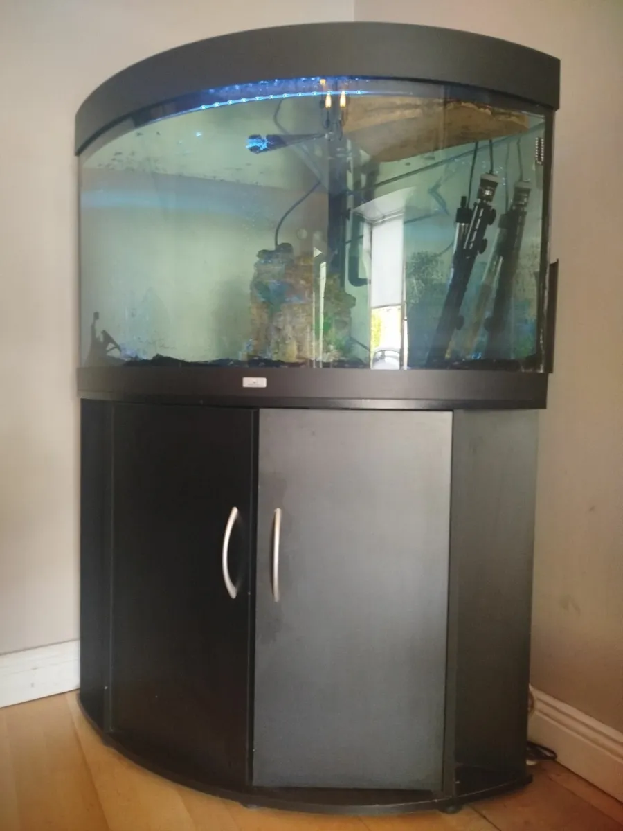Jewel Trigon 190 aquarium - Image 2